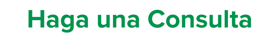 Haga una consulta-1